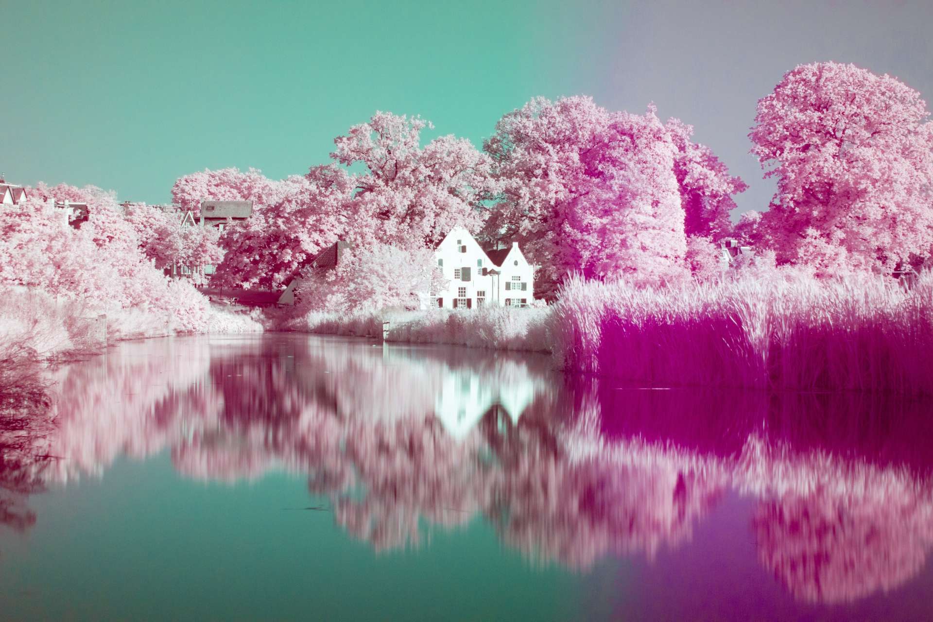 De Witte Watermolen